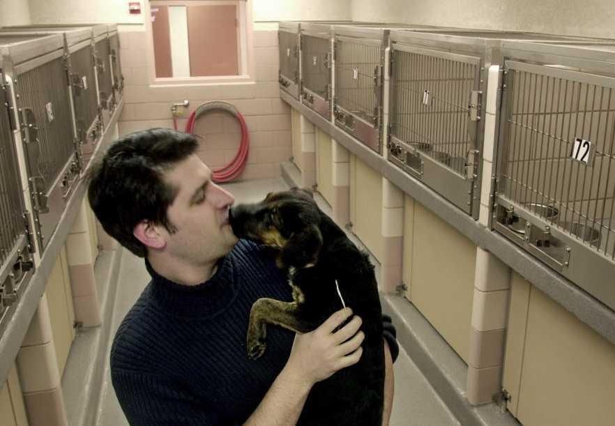 Cuyahoga County Animal Shelter gets new director, scathing ...