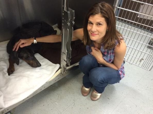 Woman who saved neglected Doberman shares story of its rescue